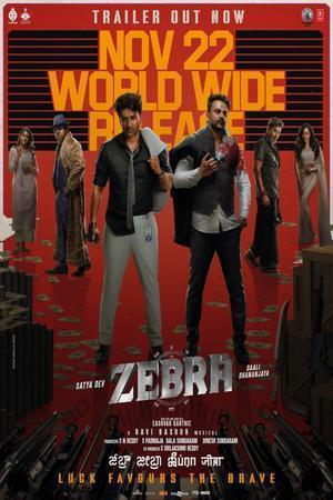 Zebra Poster Zebra 2024