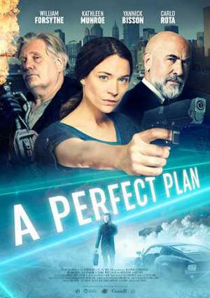 A Perfect Plan Poster A Perfect Plan 2020