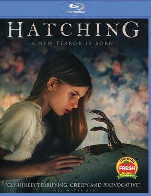Hatching Poster Hatching 2022
