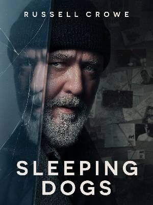 Sleeping Dogs Poster Sleeping Dogs 2024