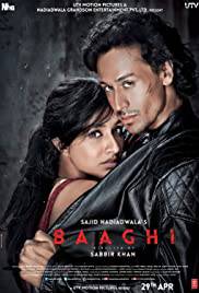 BAAGHI Poster
