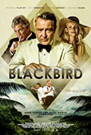 BLACKBIRD Poster