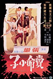 THE MAGNIFICENT RUFFIANS Poster